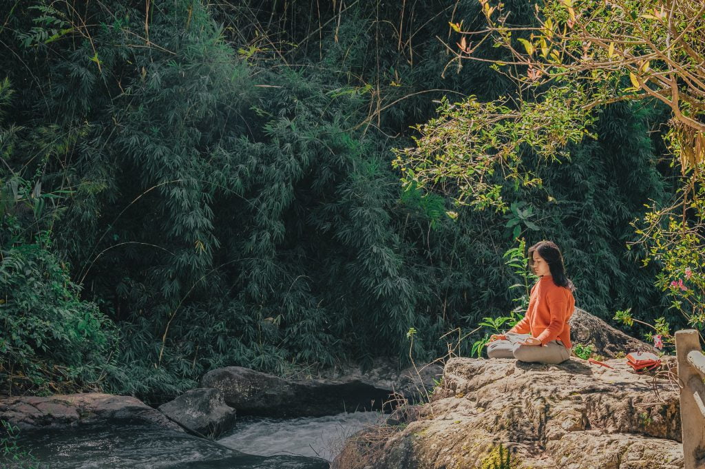 women meditating in a forest