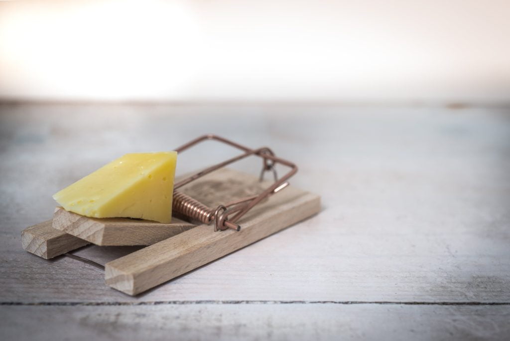 mouse trap with cheese, taking risk vs reward